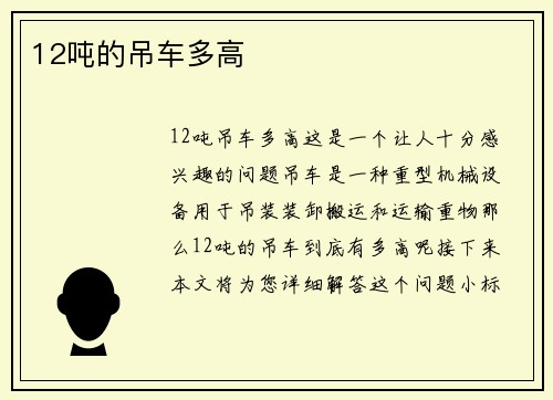 12吨的吊车多高